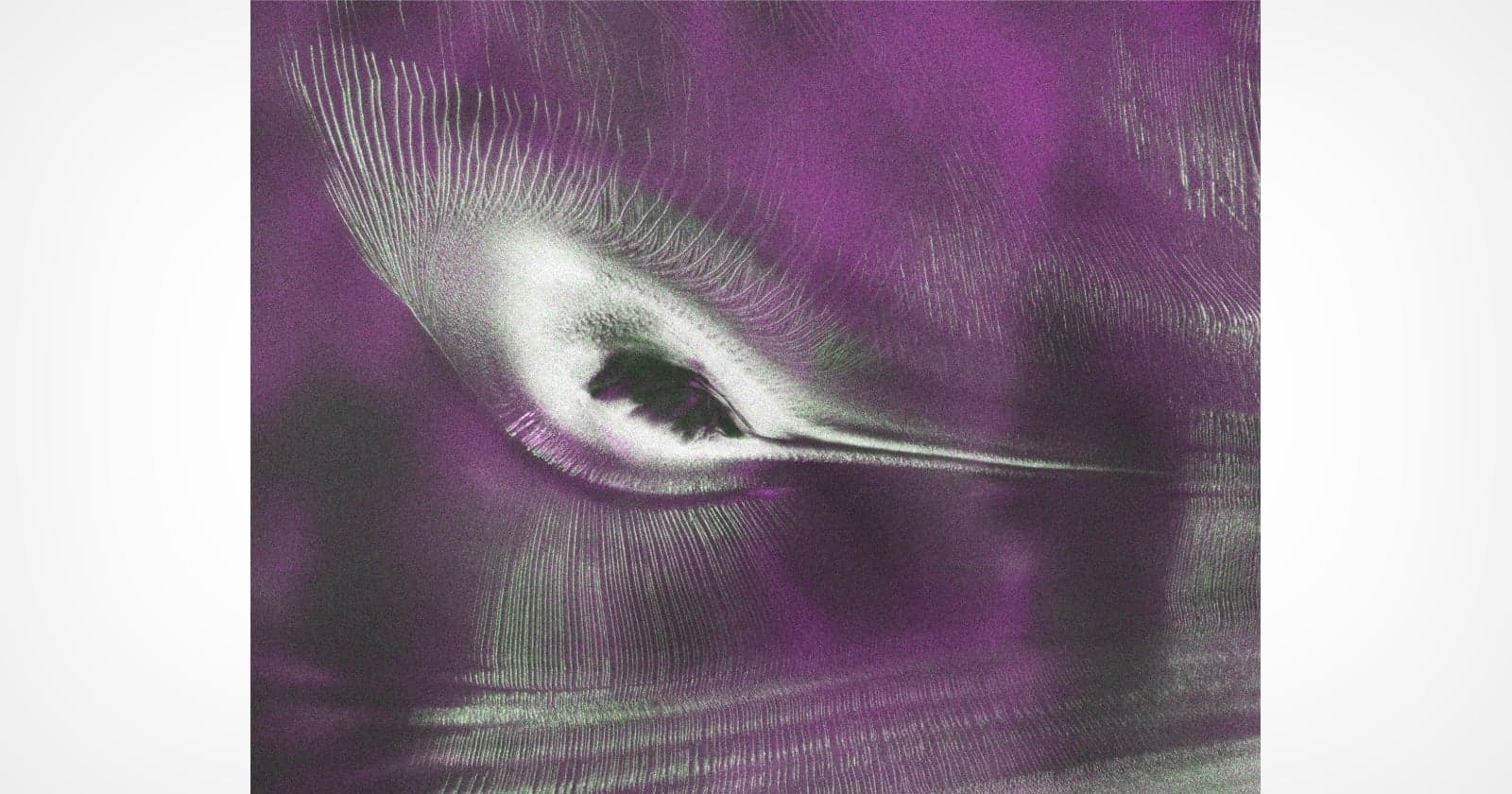 ماهواره ناسا تصویر مرغ مگسخوار در یخهای قطب جنوب را ثبت کرد